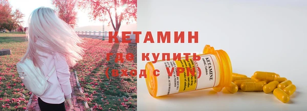 крисы Каменка