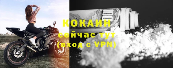 крисы Каменка