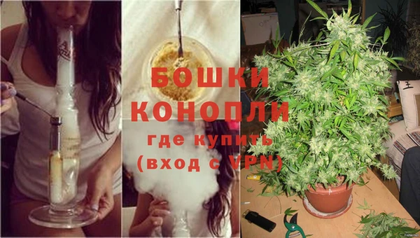 крисы Каменка