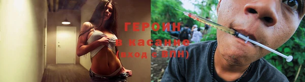крисы Каменка