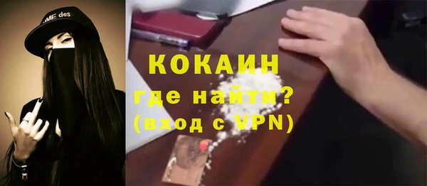 крисы Каменка