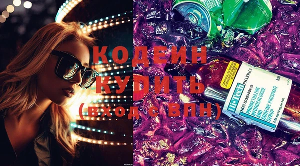 крисы Каменка