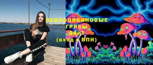 MDMA Каменногорск