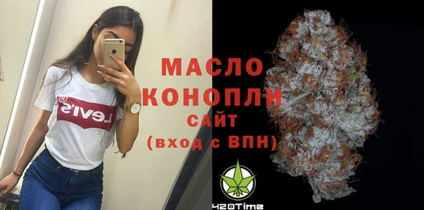 крисы Каменка