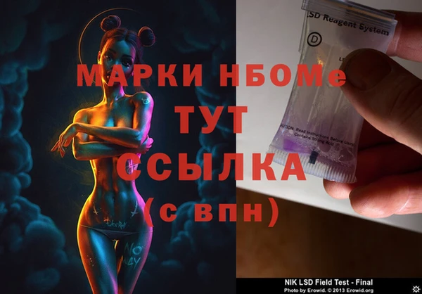 крисы Каменка