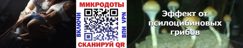 Псилоцибиновые грибы Psilocybe  Купить  Мезень 